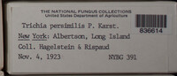 Image Associated With the Occurence